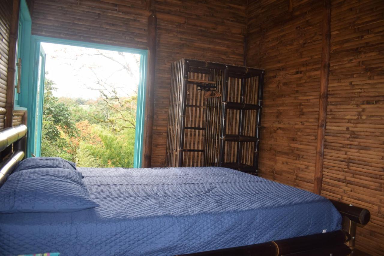 Villa Casa De Bambu à Turrialba Extérieur photo